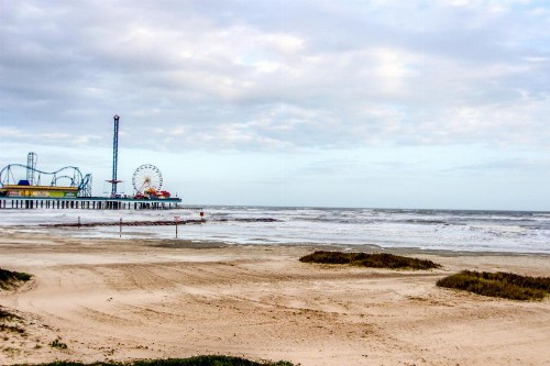 Paradise At Last - image 6