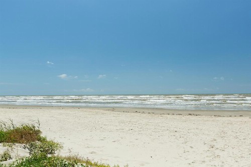 13 Palms - image 11