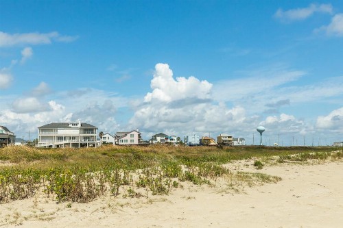 Family Tides - image 11