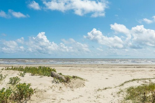 Family Tides - image 8