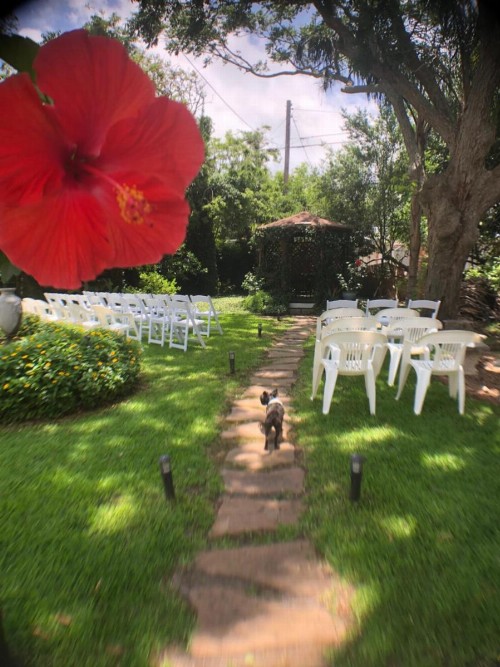 Avenue O Bed and Breakfast - image 19