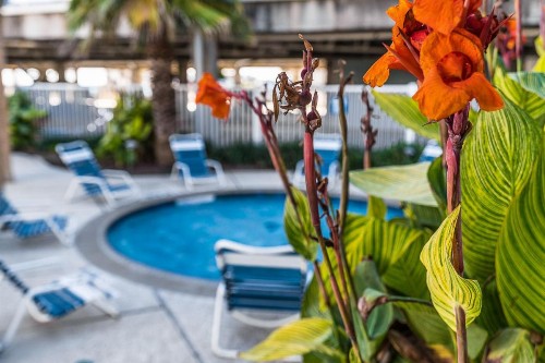 Beach Beauty - Spectacular top-floor balcony views at Seascape - image 12