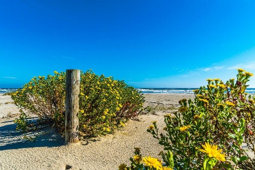 Beyond the Blue Fabulous Beach House close to Seawall and Pleasure Pier - image 6
