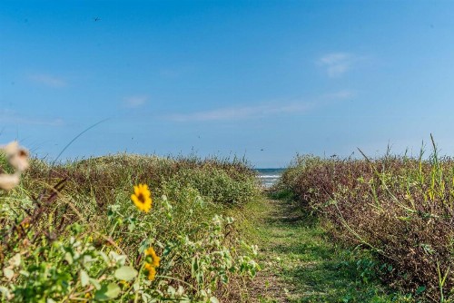 Cast a Waves - Great Beach Bungalow - Close to the Gulf - image 7