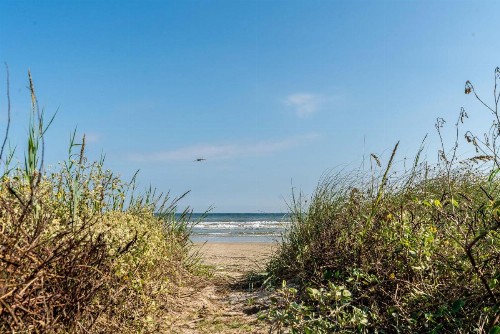 Cast a Waves - Great Beach Bungalow - Close to the Gulf - image 9