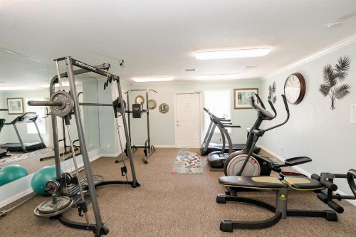 Beautiful newly renovated escape near popular Galveston attractions - image 10
