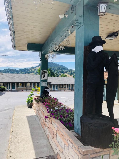 Motel Garberville - image 10