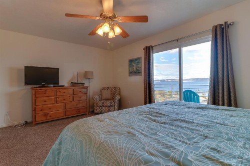 Blue Acres - image 6