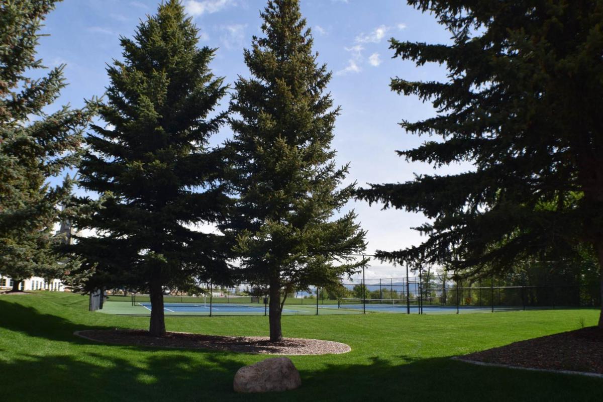 Tennis Court Condo - image 7