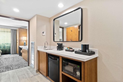 Embassy Suites Anaheim - South - image 22