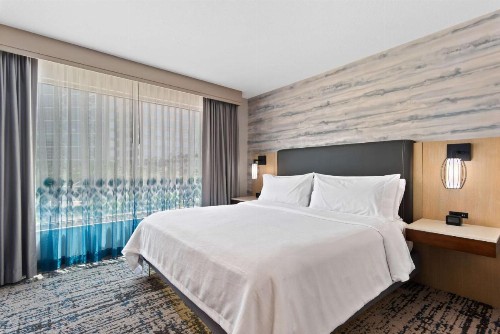 Embassy Suites Anaheim - South - image 47