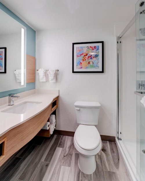 Hilton Garden Inn Anaheim/Garden Grove - image 30