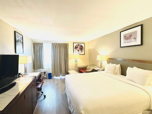 Ramada Plaza by Wyndham Garden Grove/Anaheim South - image 6