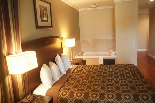 Days Inn & Suites by Wyndham Anaheim Resort - image 14