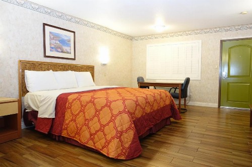 Tropic Lodge - image 11