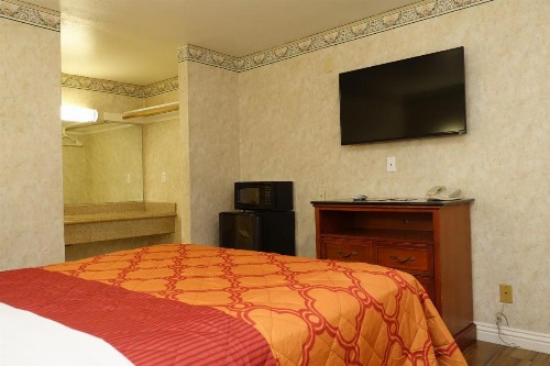 Tropic Lodge - image 14