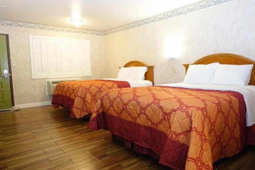 Tropic Lodge - image 26