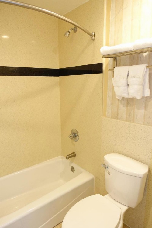 Tropic Lodge - image 28
