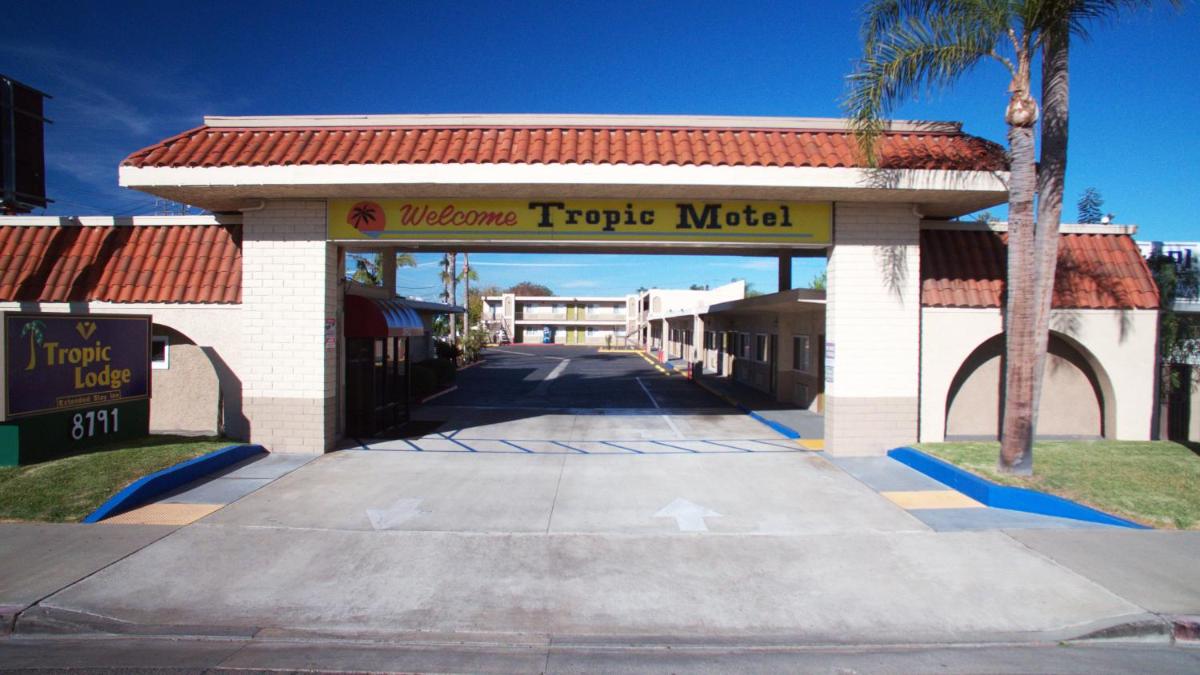 Tropic Lodge - image 6