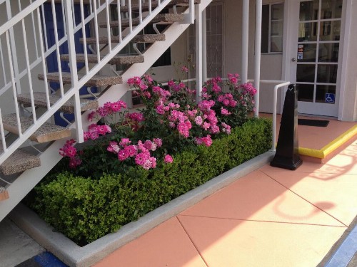 Motel 6 Gardena - image 17