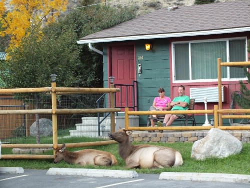Yellowstone Gateway Inn - image 1