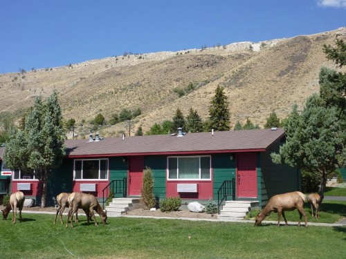 Yellowstone Gateway Inn - image 29