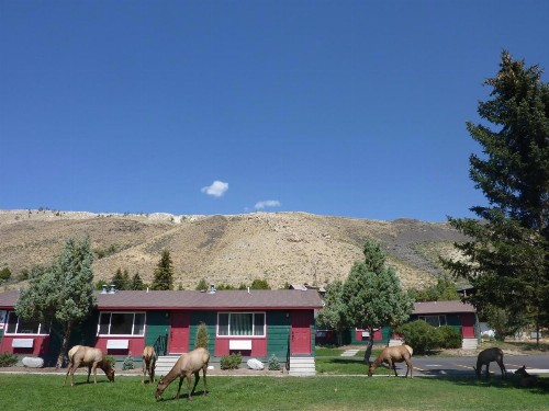Yellowstone Gateway Inn - image 43