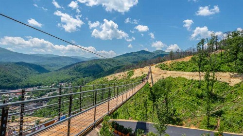 Holiday Inn Club Vacations Smoky Mountain Resort an IHG Hotel - image 46