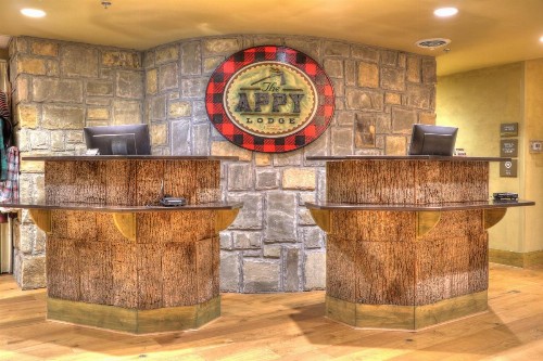 The Appy Lodge - image 2