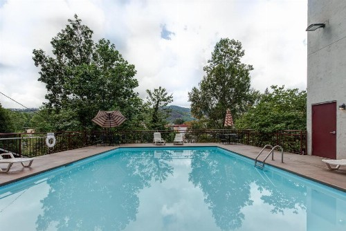 Laurel Inn Rentals - image 3