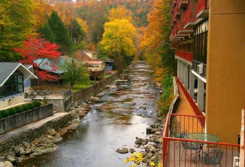Baymont by Wyndham Gatlinburg On The River - image 40