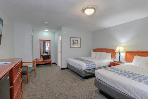 Belle Aire Motel - Downtown Convention Center - Gatlinburg - image 20