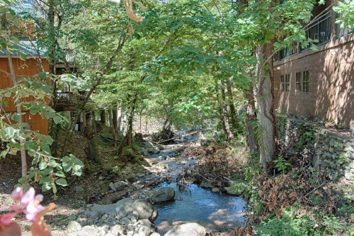 Old Creek Lodge - image 16