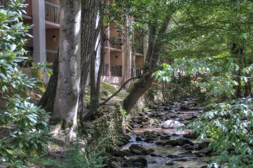 Hampton Inn Gatlinburg - image 2