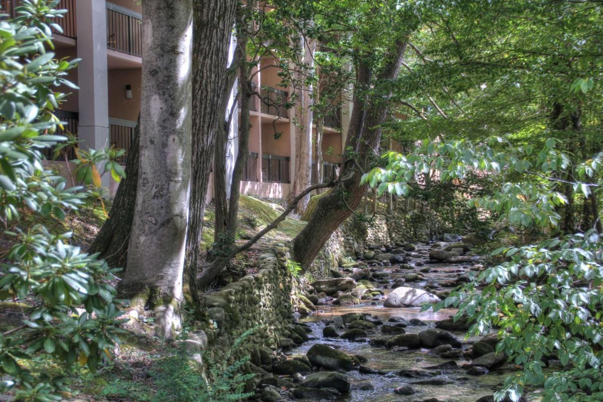 Hampton Inn Gatlinburg - image 2
