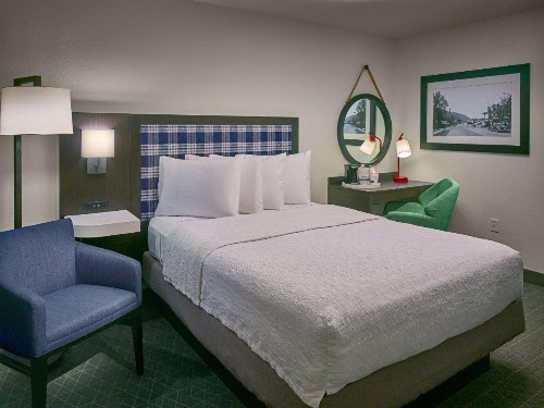 Hampton Inn Gatlinburg - image 44