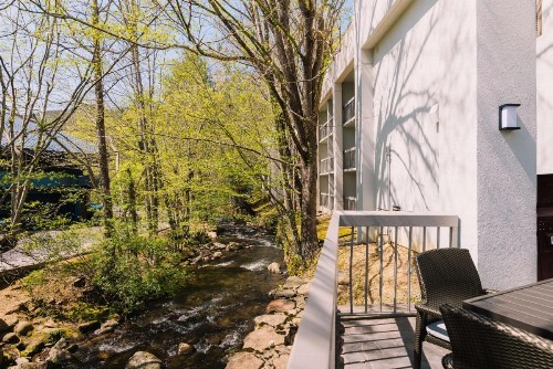 Hampton Inn Gatlinburg - image 6