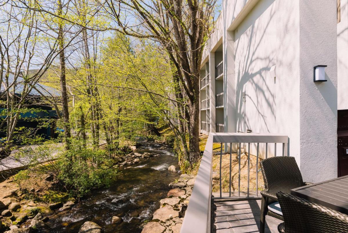 Hampton Inn Gatlinburg - image 6