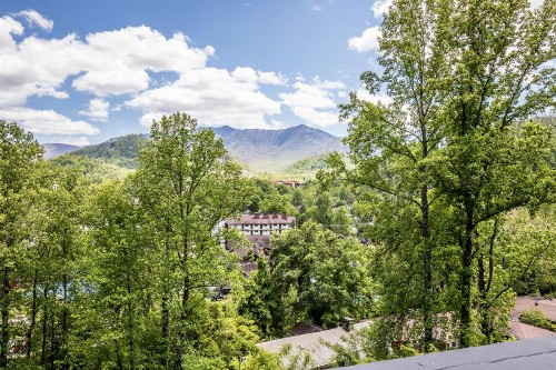 Chalet Inn - image 14