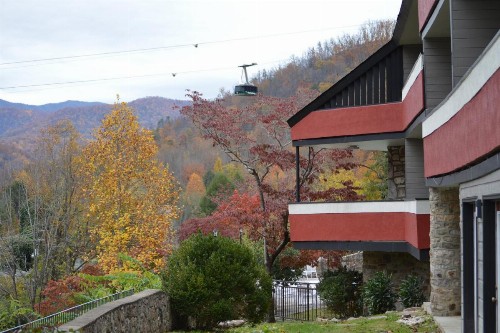 Chalet Inn - image 2
