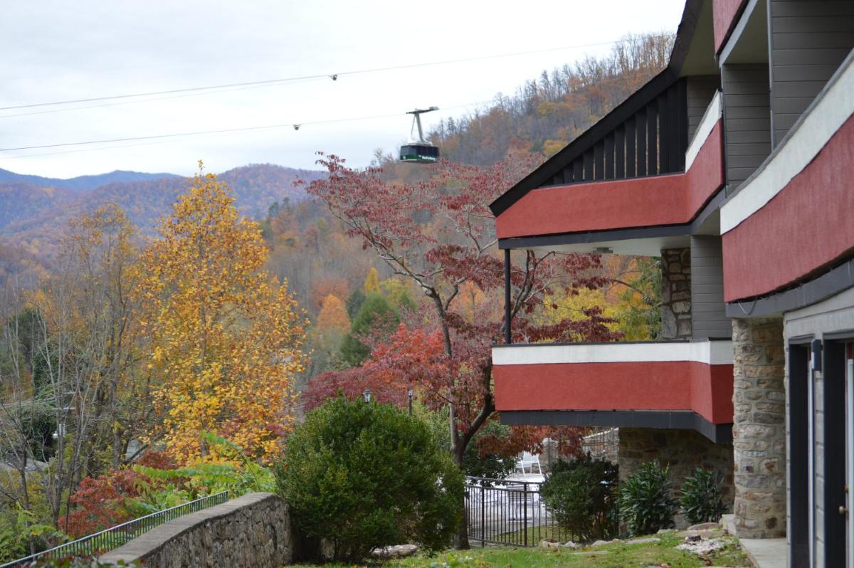 Chalet Inn - image 2