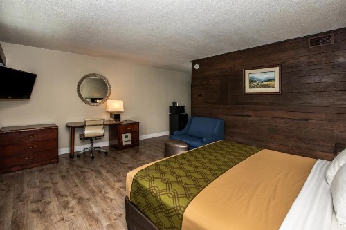 Chalet Inn - image 47