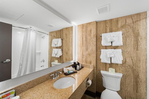 Black Bear Inn & Suites - image 11