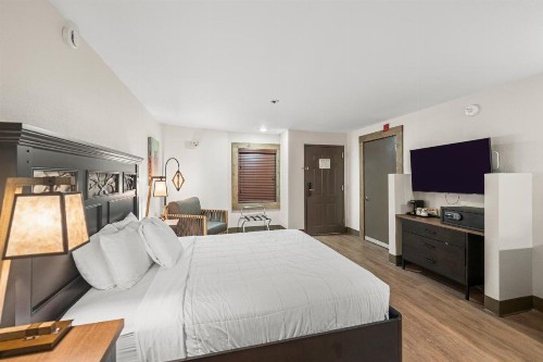 Black Bear Inn & Suites - image 19