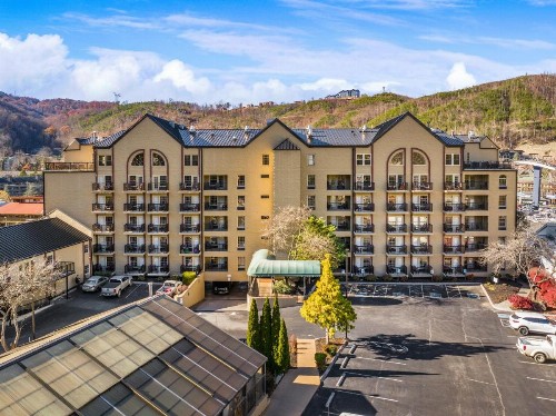 Black Bear Inn & Suites - image 9