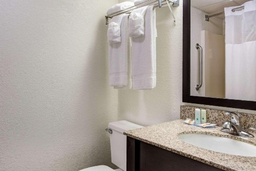 Quality Inn Creekside - Downtown Gatlinburg - image 16