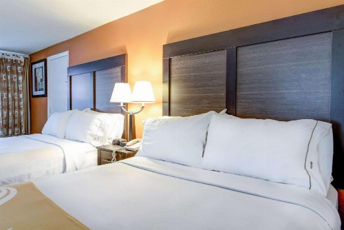 Quality Inn Creekside - Downtown Gatlinburg - image 26