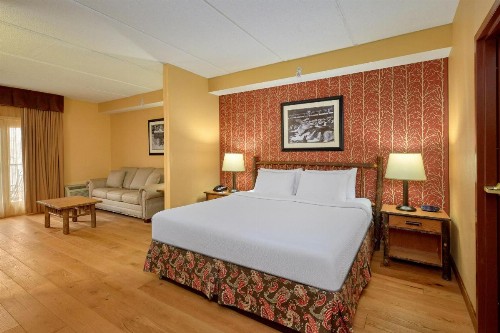 Bearskin Lodge on the River - image 7
