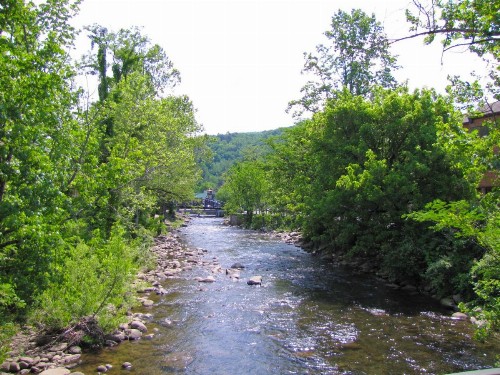 River Terrace Resort & Convention Center - image 50