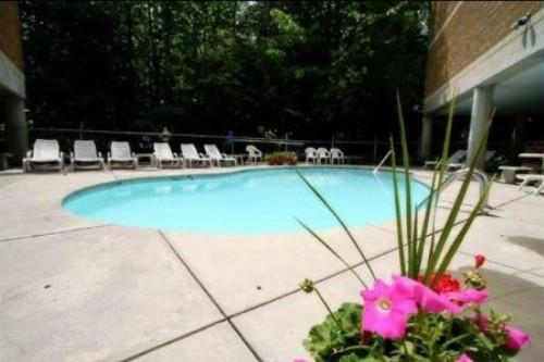 Park Place Condos - image 7